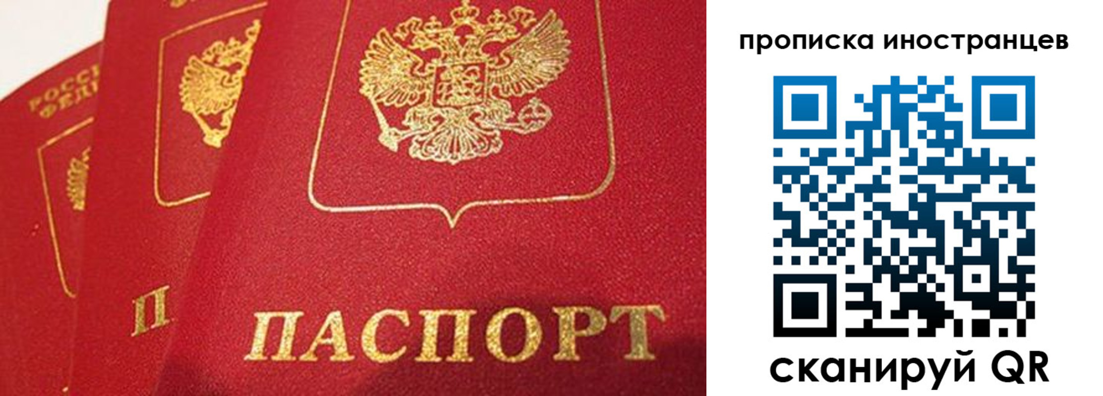 прописка поиск в Лыткарино